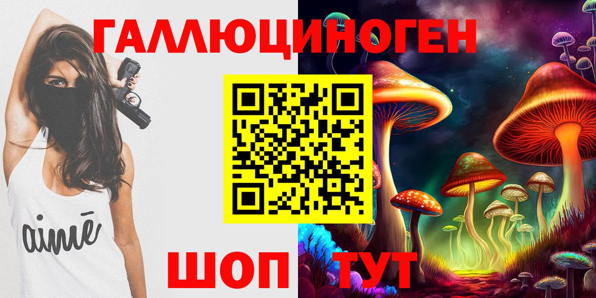 Саянск  Галлюциногенные грибы Cubensis  Вход с VPN 