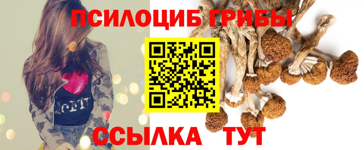 Псилоцибиновые грибы прущие грибы Саянск